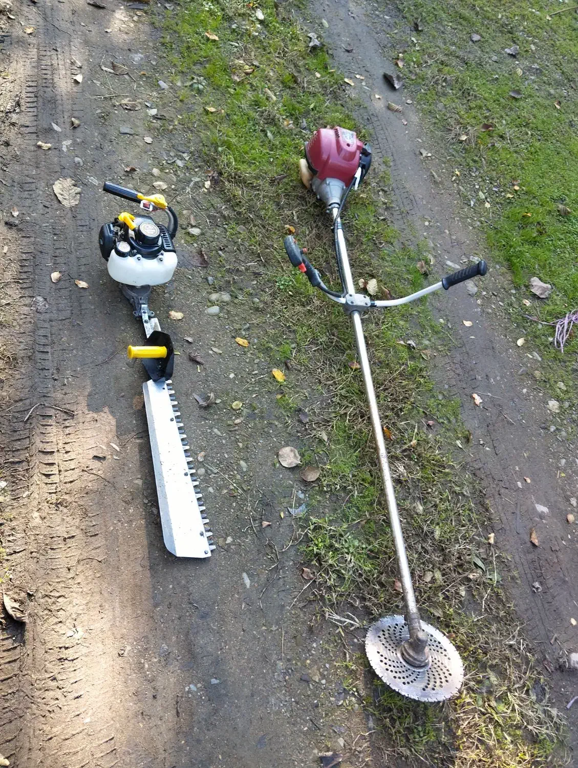 علف زنی و انواع هرس باغ چای|خدمات باغبانی و درختکاری|فومن, |دیوار