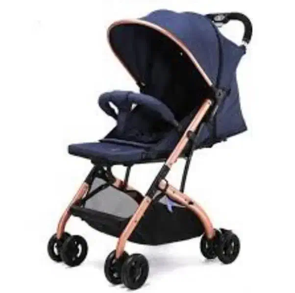 کالسکه دسته عصایی|کالسکه و لوازم جانبی|اصفهان, دشتستان|دیوار