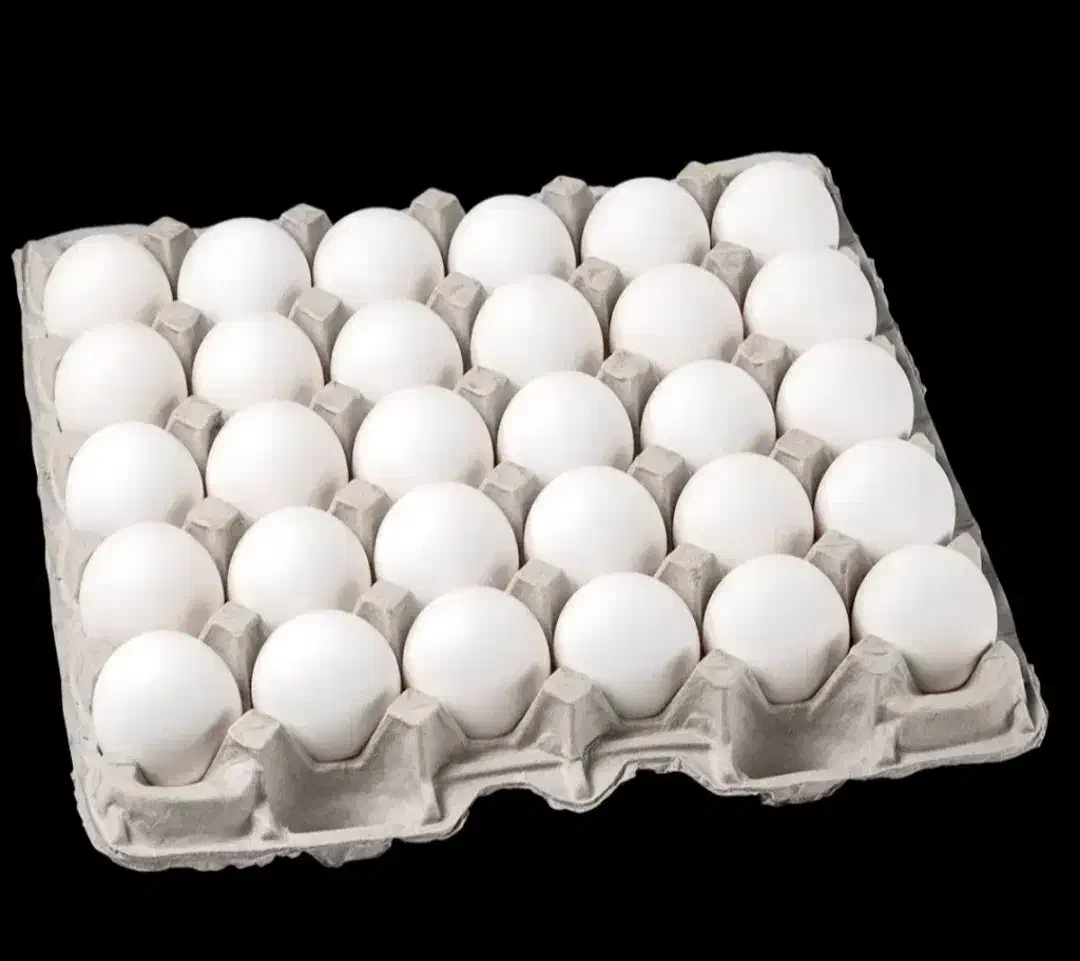 پخش تخمرغ|خوردنی و آشامیدنی|تهران, انبار نفت|دیوار