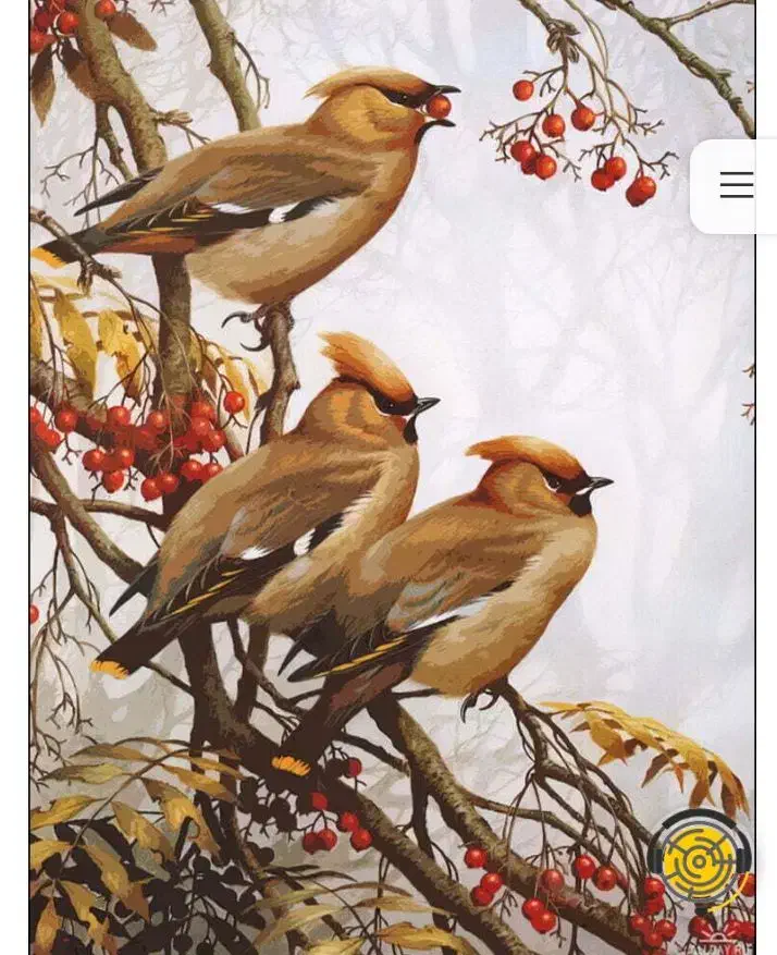 همکاری|خدمات پیشه و مهارت|اردبیل, |دیوار