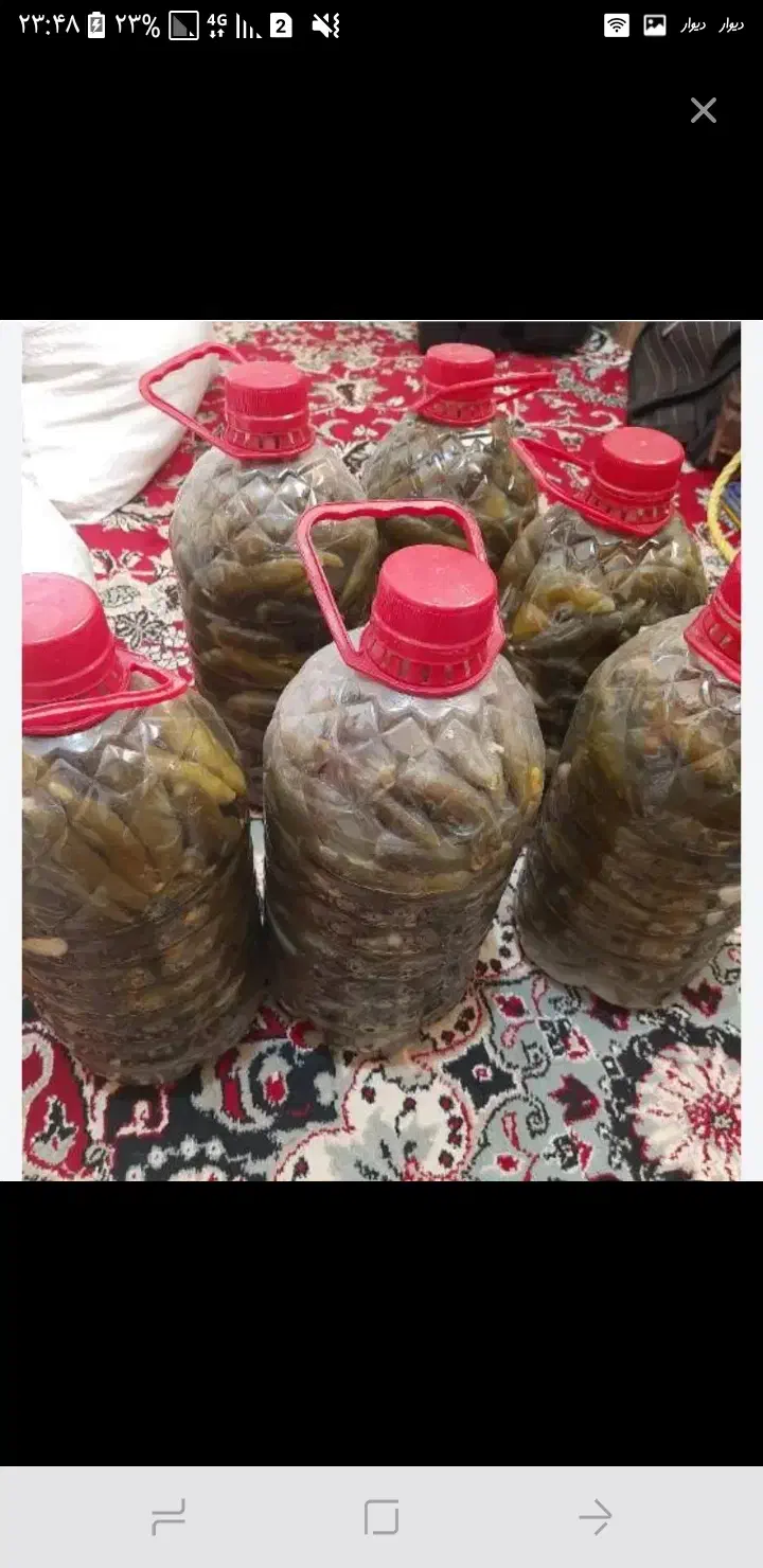 خیار شور۱۷۰|خوردنی و آشامیدنی|دره شهر, |دیوار