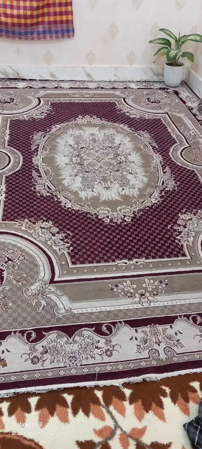 فرش۱۲متری تمیز|فرش|مشهد, شهید معقول|دیوار