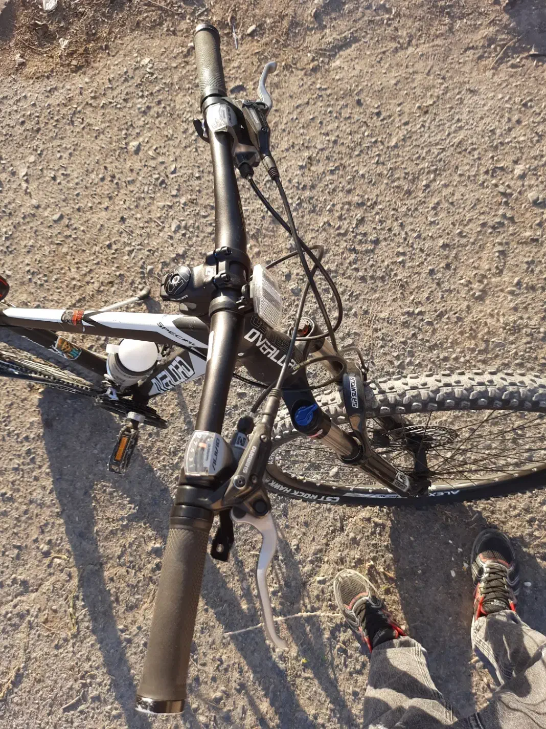 دوچرخه اورلود|دوچرخه، اسکیت، اسکوتر|بیرجند, |دیوار