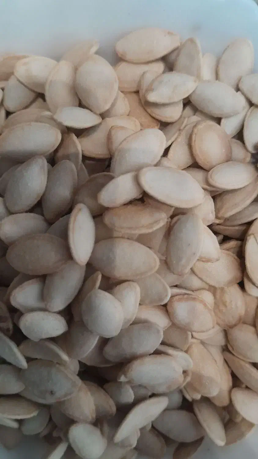 تخمه‌کدو‌تازه‌وپر‌خوشمزه|خوردنی و آشامیدنی|بروجرد, |دیوار