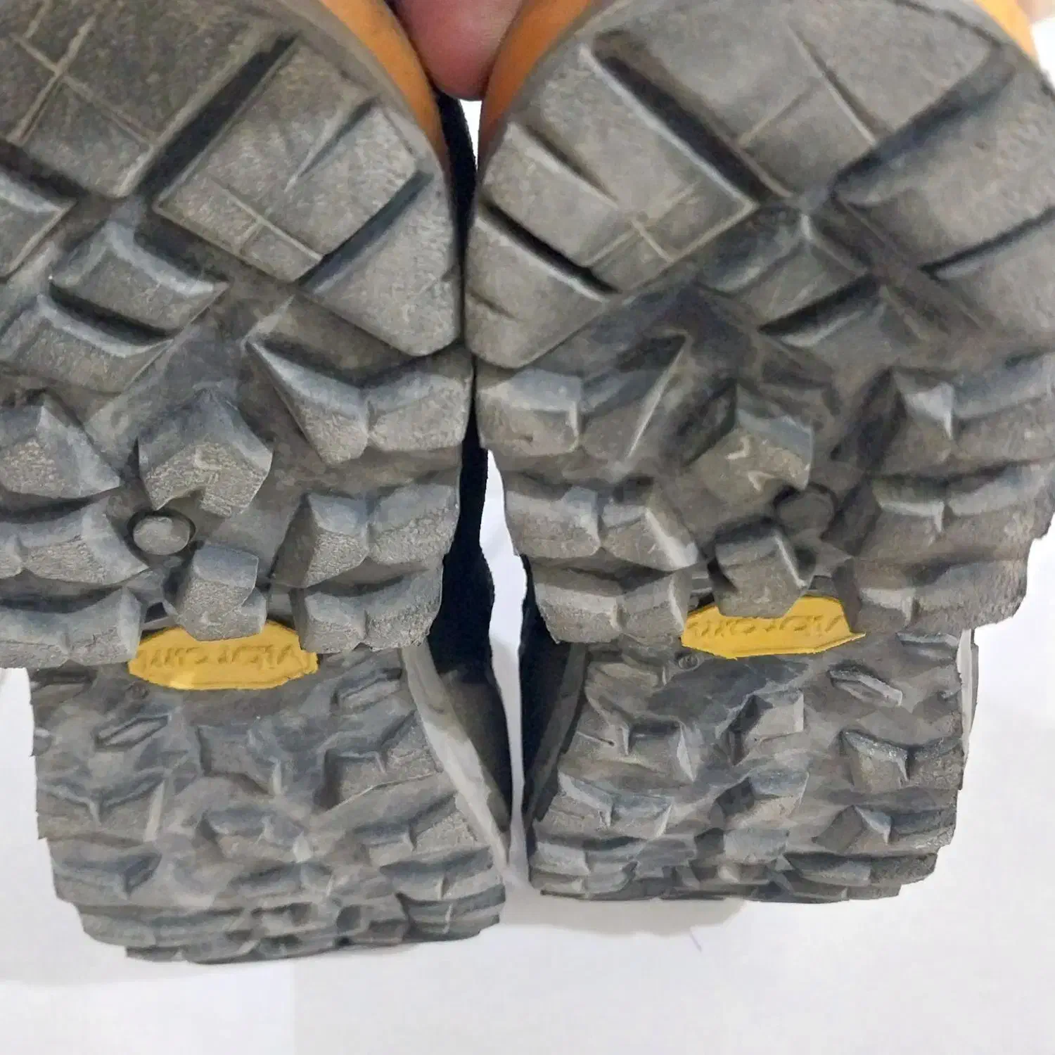 کفش کوهنوردی بستارد|کوهنوردی و کمپینگ|کرج, عظیمیه|دیوار