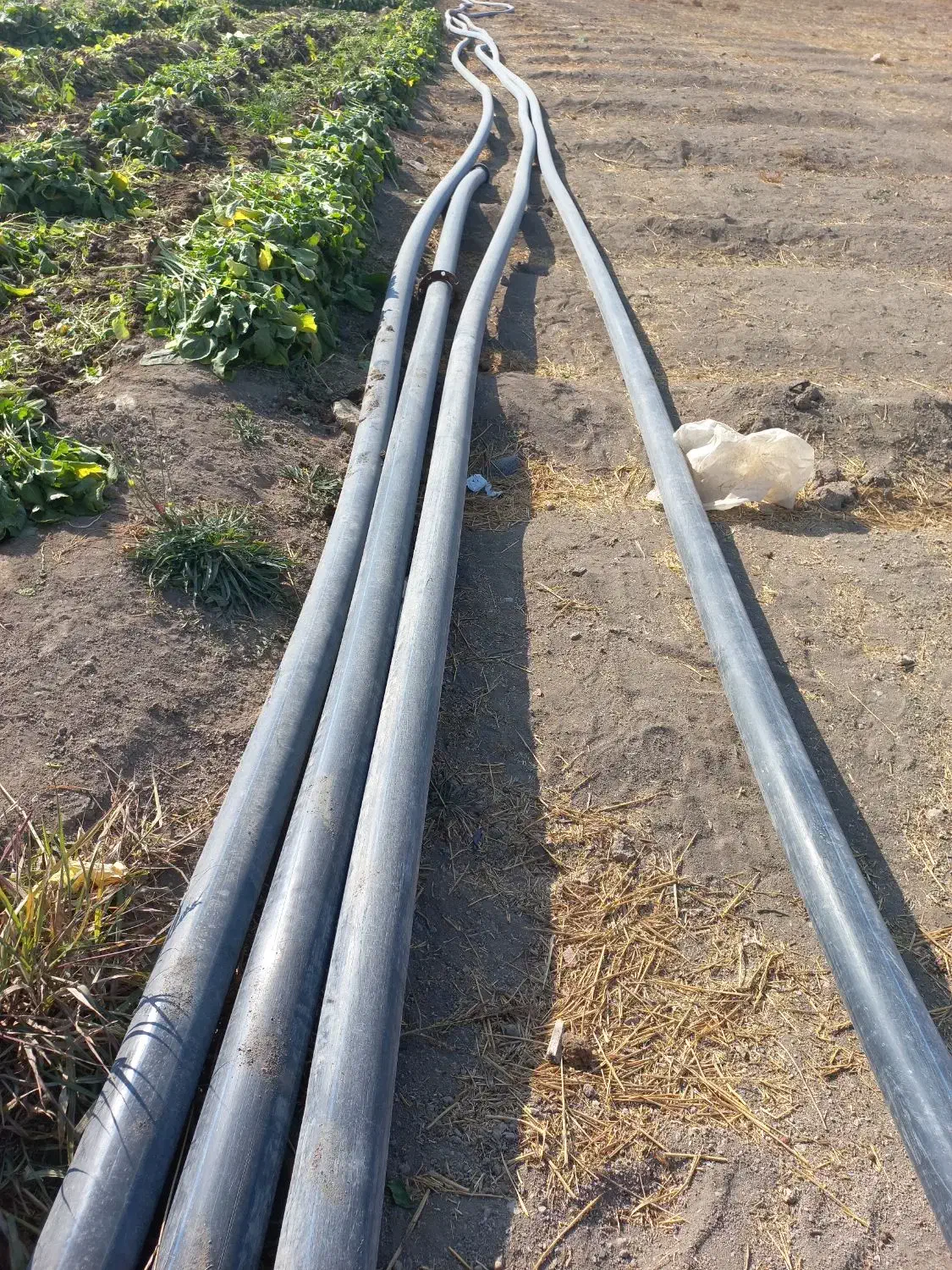 لوله پلی اتیلن ۴ اینچ|مصالح و تجهیزات ساختمان|پیر بکران, |دیوار