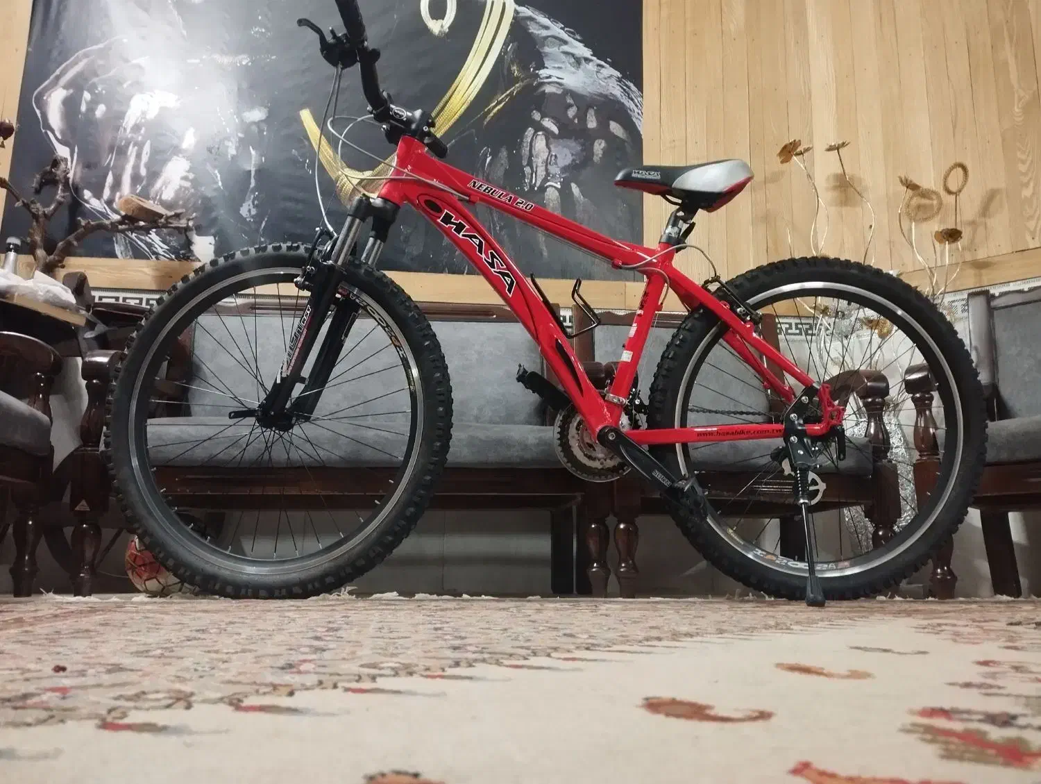 فروش انواع دوچرخه های دسته دو اروپایی|دوچرخه، اسکیت، اسکوتر|یزد, |دیوار