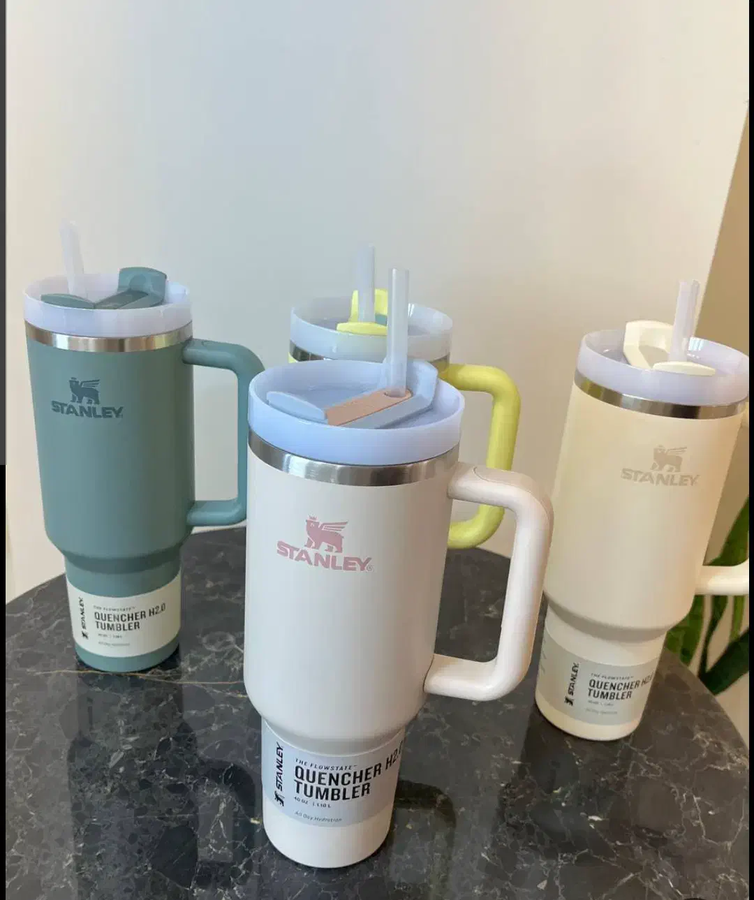 ماگ استنلی اصلی|ظروف سرو و پذیرایی|اصفهان, سرشبادران|دیوار