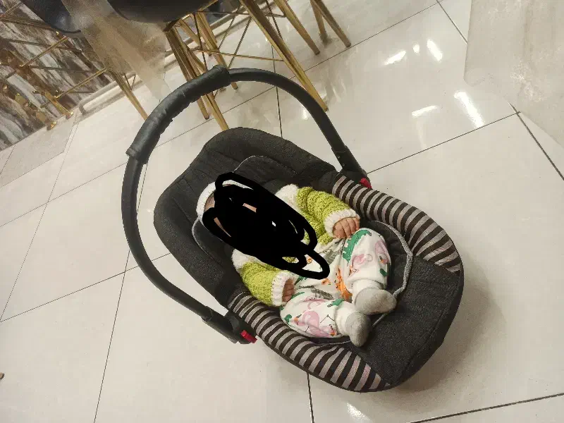 کریر|کالسکه و لوازم جانبی|آران و بیدگل, |دیوار