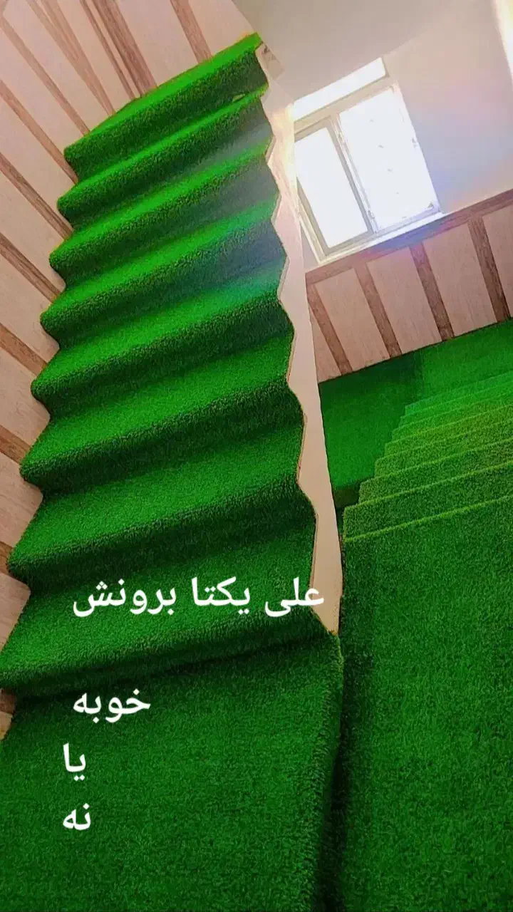 نصب انواع موکت پالاز .تافتینگ .ساده .چمن مصنوعی وو|خدمات پیشه و مهارت|دوگنبدان, |دیوار