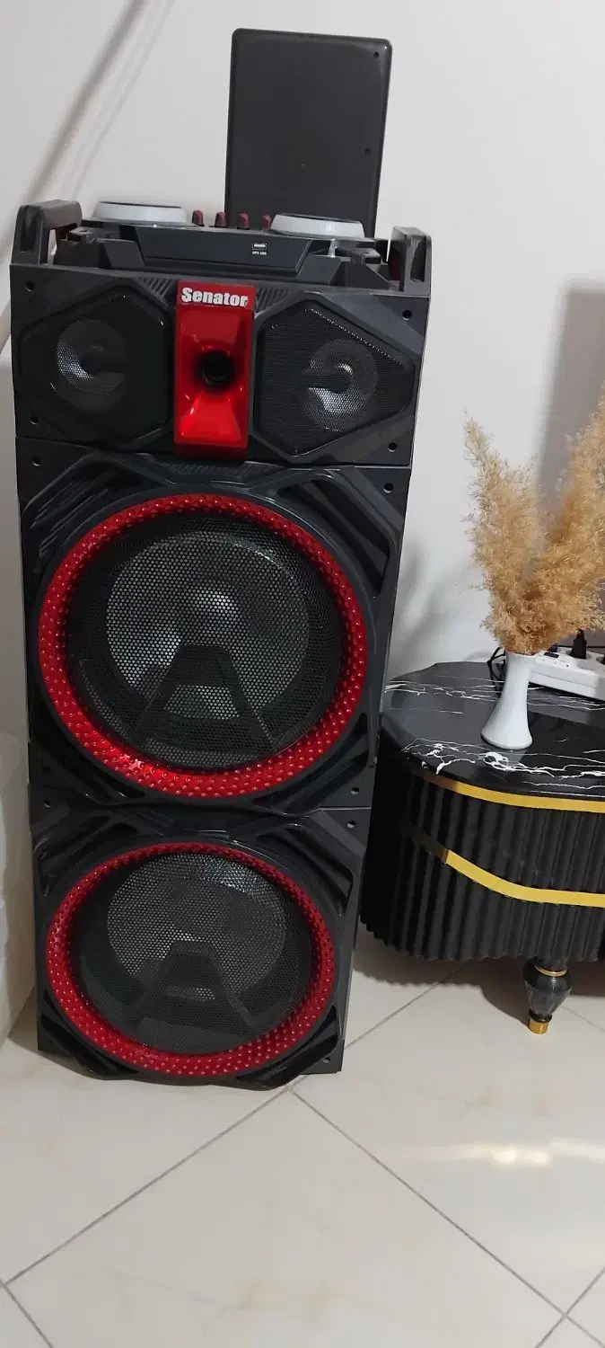 اسپیکر برند سناتور اصلی|سیستم صوتی خانگی|گرمسار, |دیوار