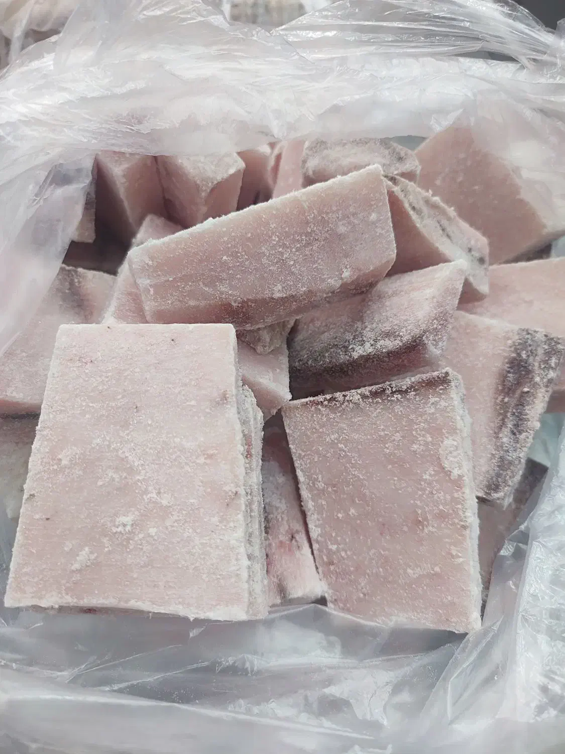 فیله ماهی|ماهی|نهبندان, |دیوار