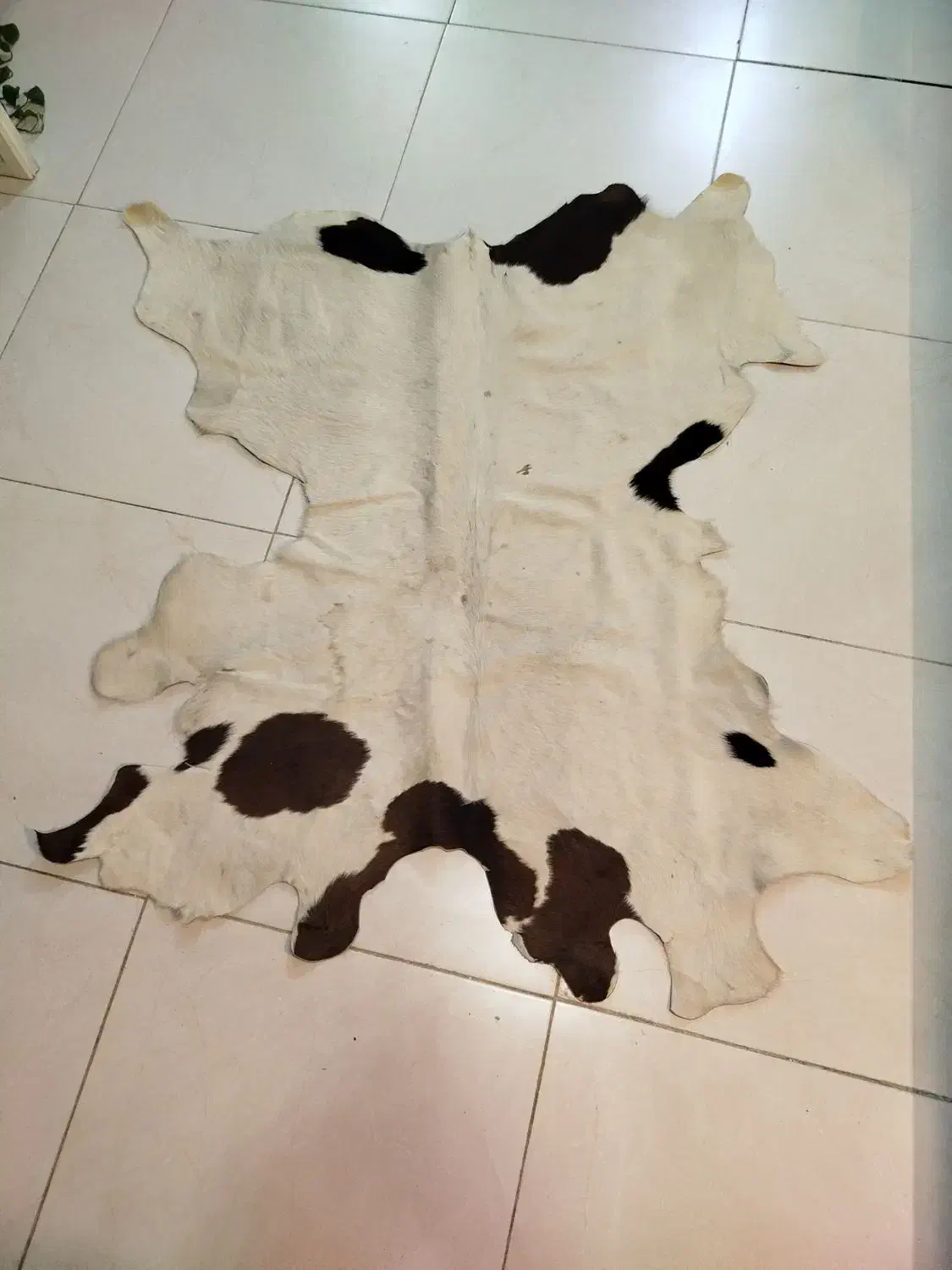 چرم طبیعی تبریز|روفرشی|کرمانشاه, |دیوار