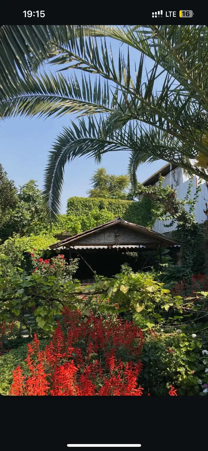 خدمات کار در منزل|استخدام سرایداری و نظافت|سرخرود, |دیوار