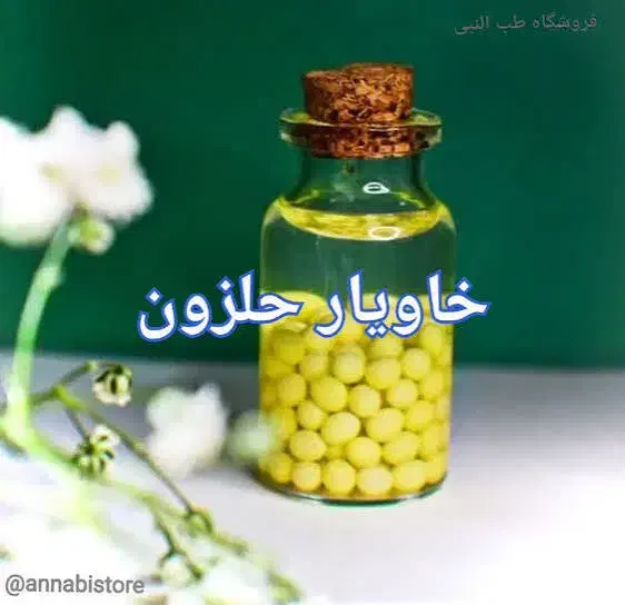 خاویار حلزون|خزنده|مشهد, رسالت|دیوار