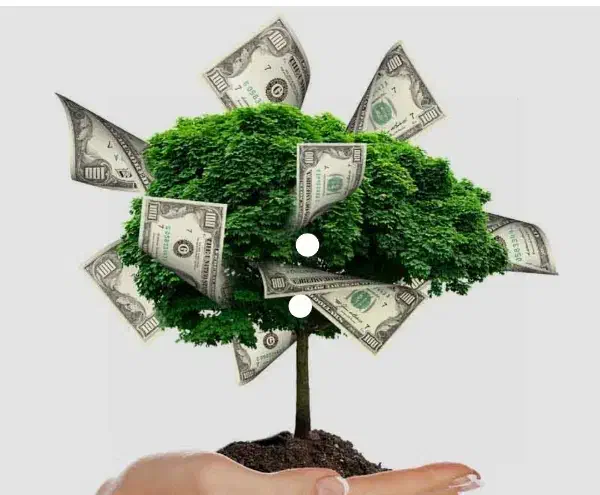 تامین سرمایه آزاد|خدمات مالی، حسابداری، بیمه|تبریز, |دیوار