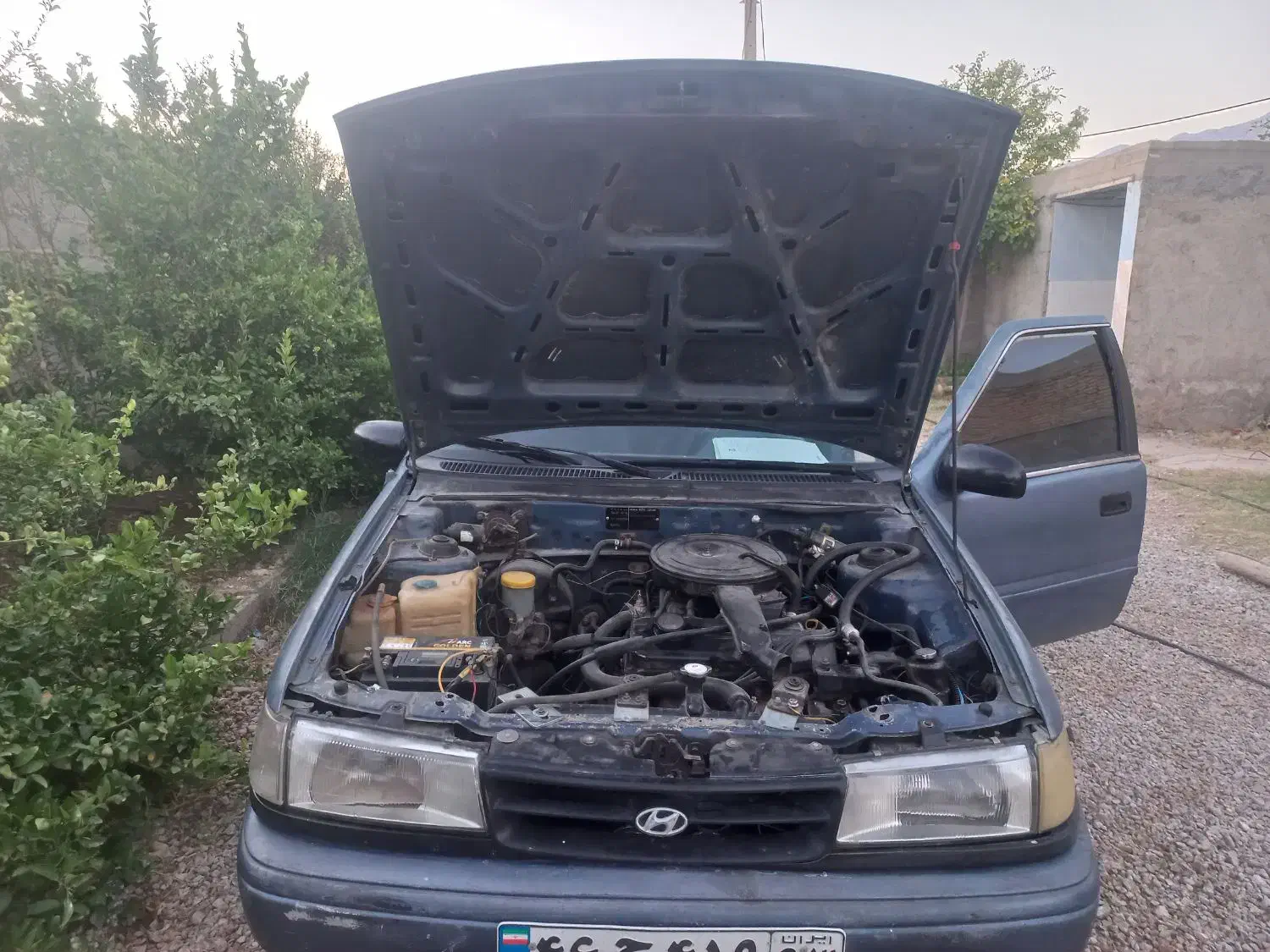 هیوندا اکسل|خودرو سواری و وانت|داراب, |دیوار