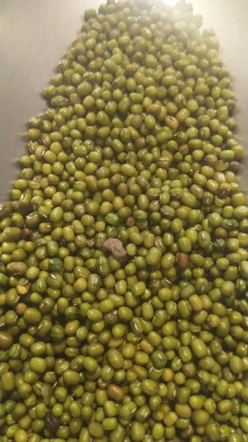 نخود لوبیا عدس سویا برنج چیتی ازبک عمده خورده|خوردنی و آشامیدنی|شیراز, شیشهگری|دیوار