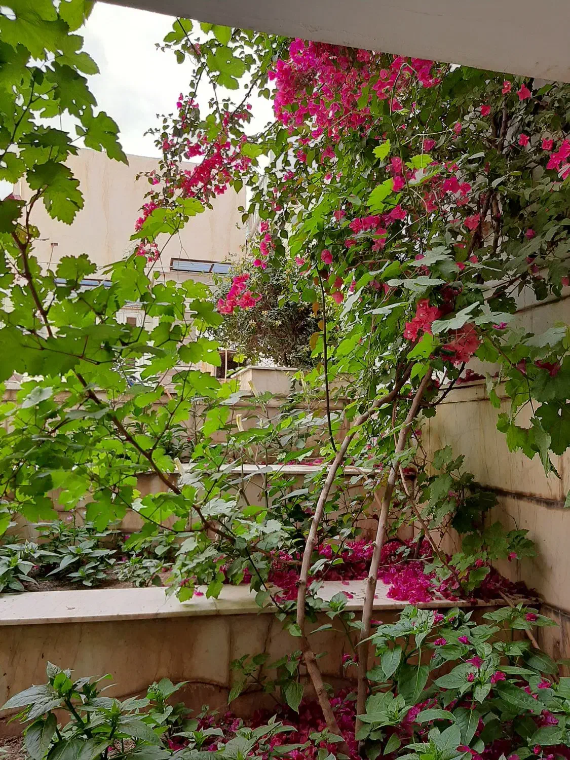 منزل ویلایی سه طبقه ۲۵۲ متر دورشهر خ بسیج|فروش خانه و ویلا|قم, هنرستان|دیوار