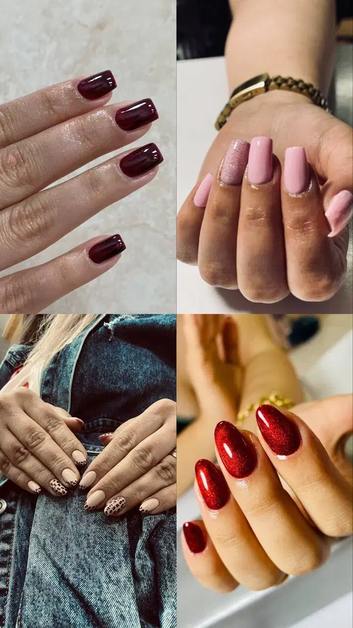 سالن زیبایی بیتا در رشت|خدمات آرایشگری و زیبایی|رشت, دروازه لاکان|دیوار