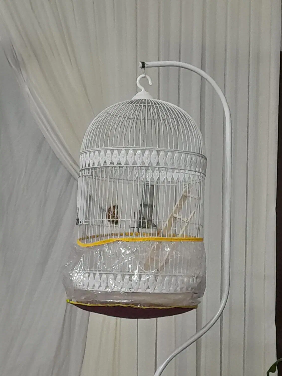 قفس پرنده|لوازم جانبی حیوانات|فیروزه, |دیوار