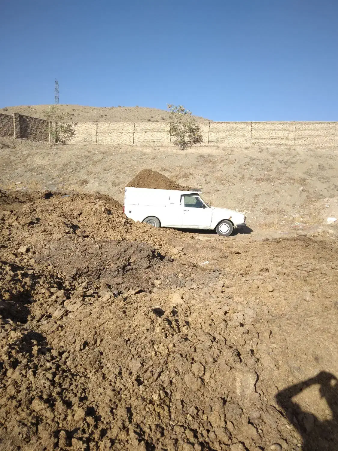 کود پوسیده|گل و گیاه طبیعی|هشتگرد, سیف آباد|دیوار