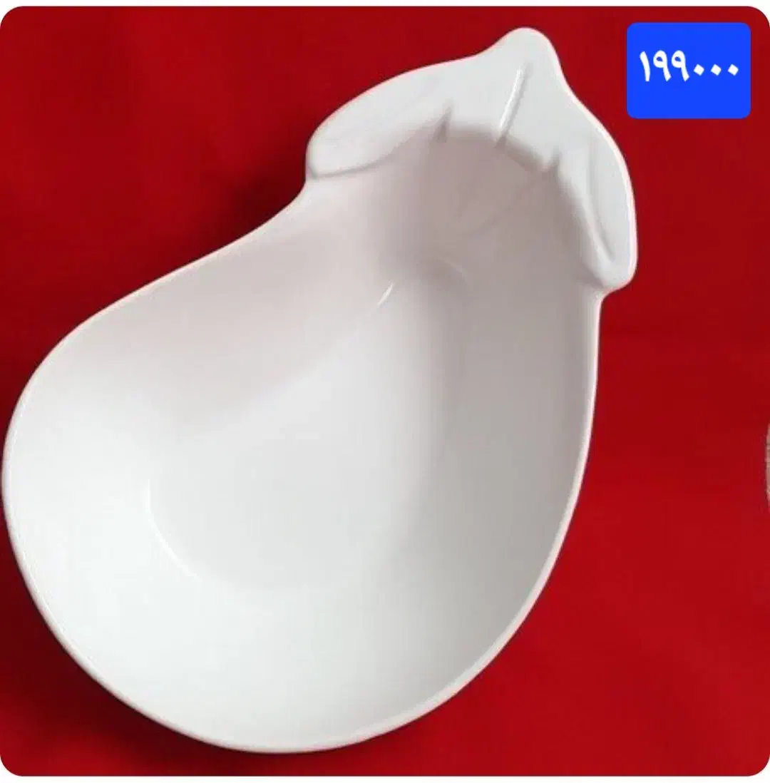 سرگرمی و کلکسیونی|فعالیت داوطلبانه|گرگان, |دیوار