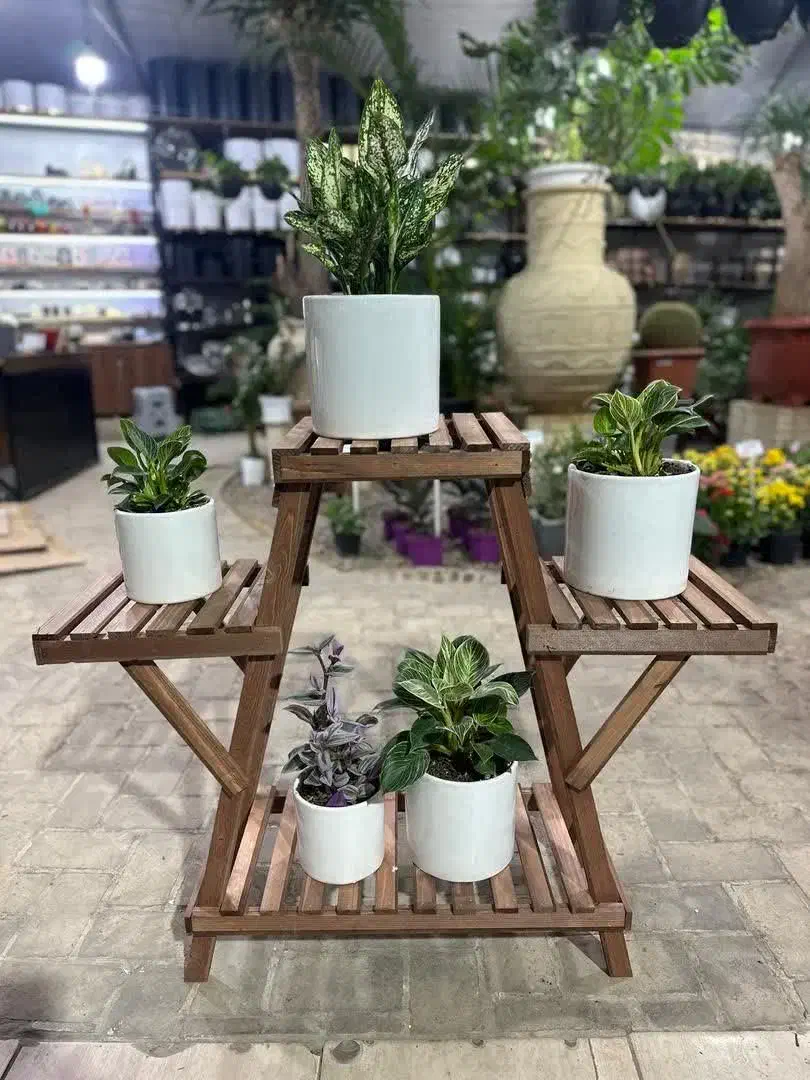 استندگل/پایه گلدان|گل و گیاه طبیعی|یزد, |دیوار