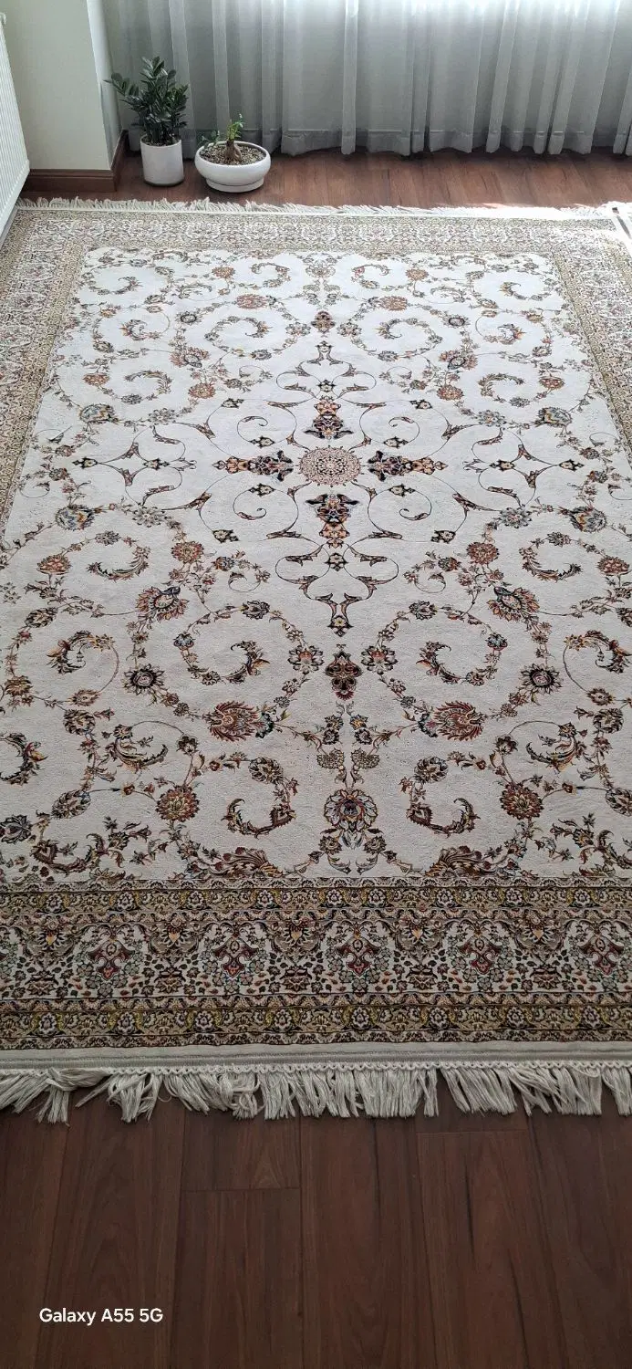 فرش طوبی|فرش|گرمدره, |دیوار