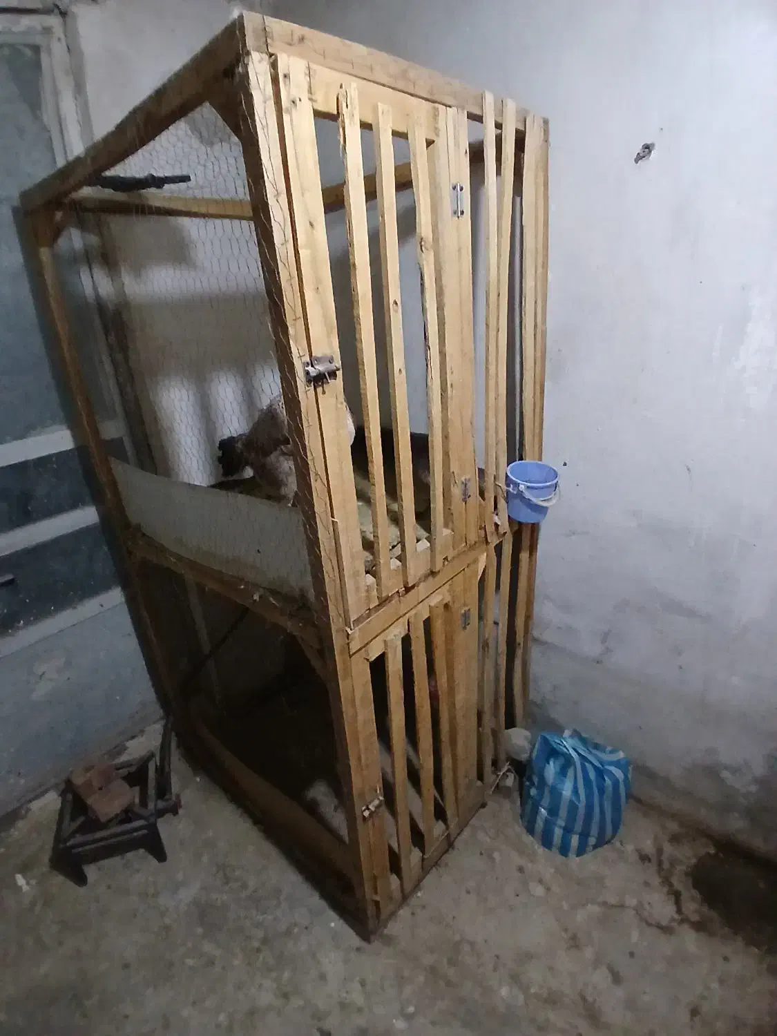 قفس خروس لاری|لوازم جانبی حیوانات|نقده, |دیوار