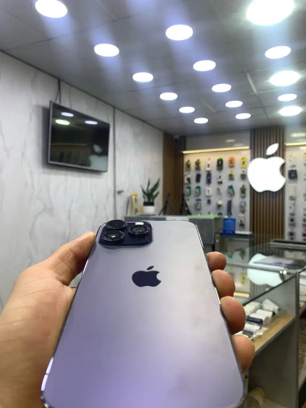 ۱۴پرو مکس درحد ریجستر شده بنفش|موبایل|کرج, کوی امامیه|دیوار