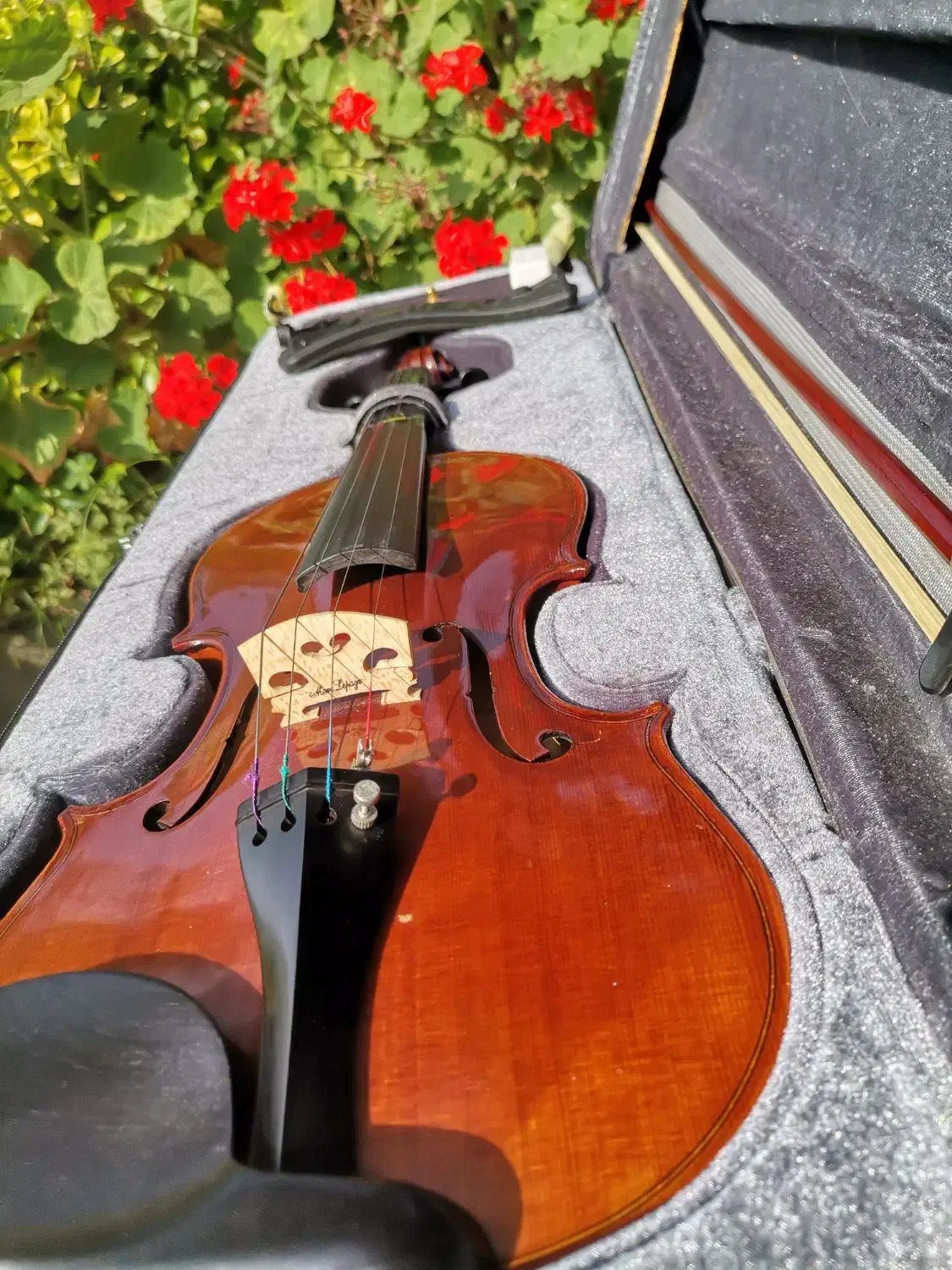 ویالن دست‌ساز برند Stagg|ویولن|نشتارود, |دیوار