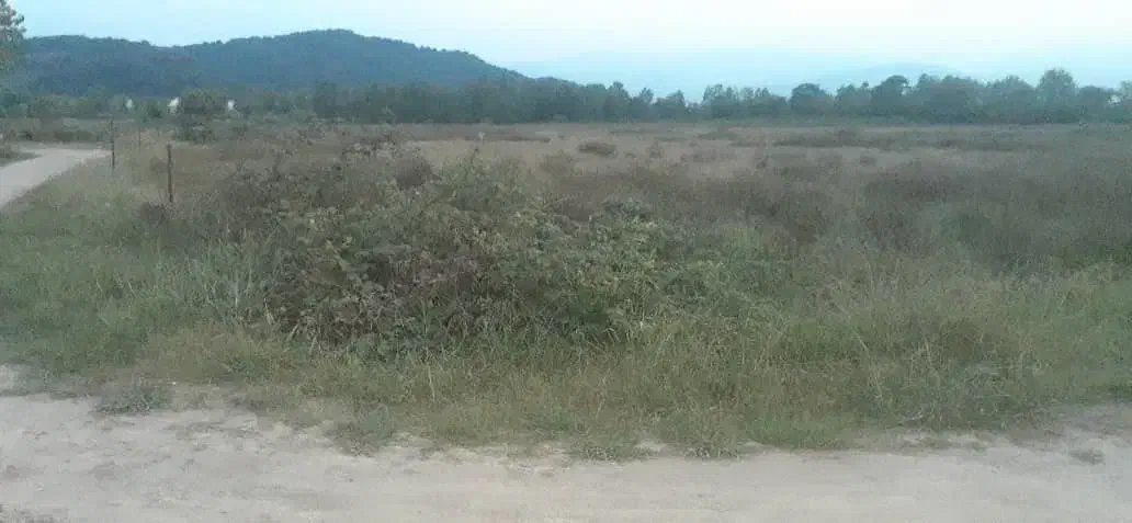 فروش فوری زمین در آقاسید شریف، زیر قیمت|فروش زمین و ملک کلنگی|شفت, |دیوار