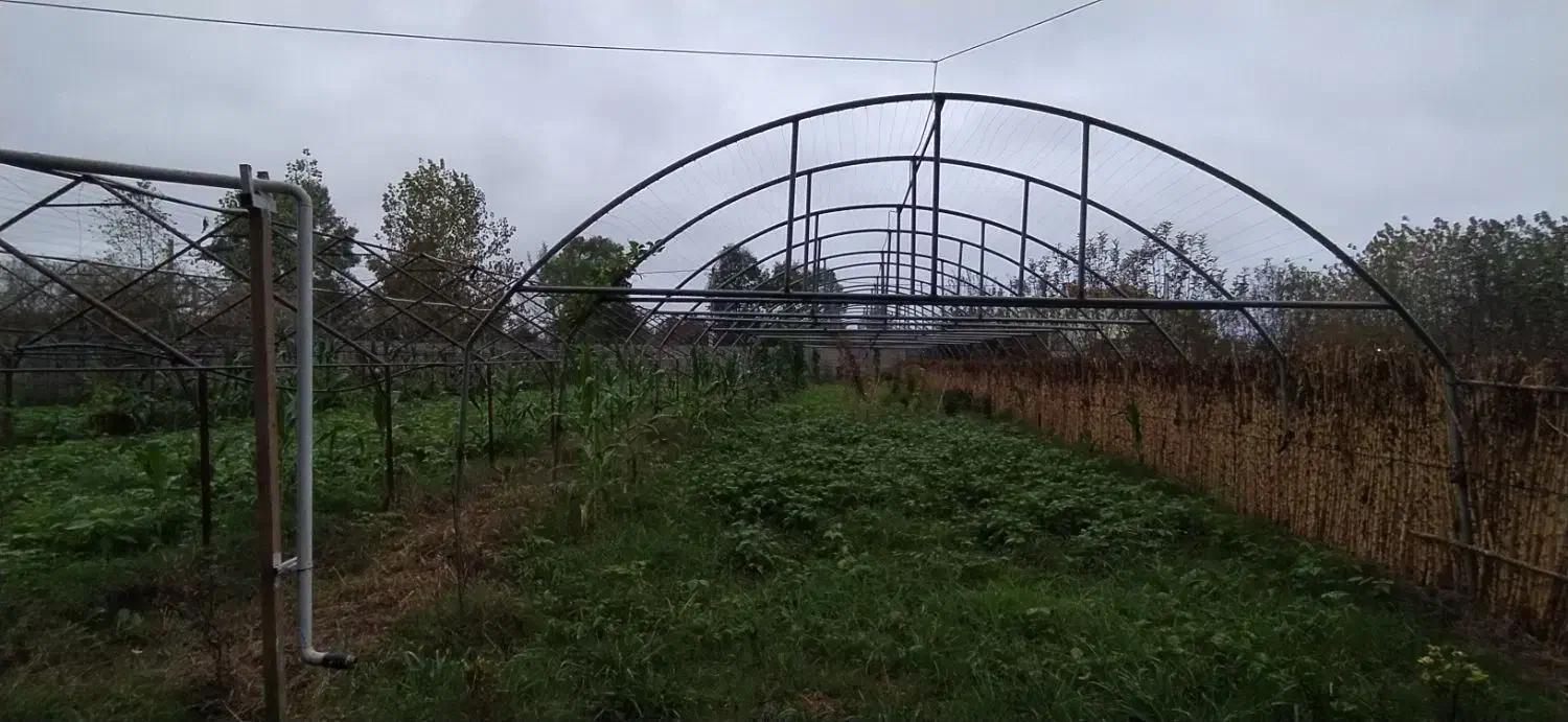 اجاره گلخانه|اجارهٔ دفتر صنعتی، کشاورزی، تجاری|طاهرگوراب, |دیوار