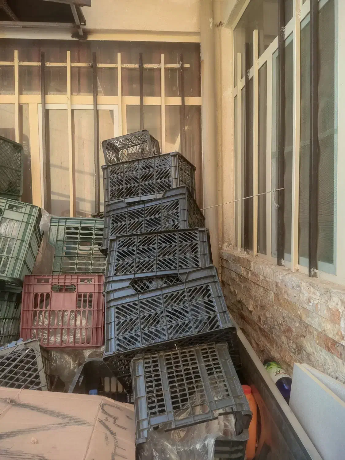 سبد بزرگ موز.مناسب انار|ظروف نگهدارنده، پلاستیکی، یک‌بارمصرف|ساوه, |دیوار