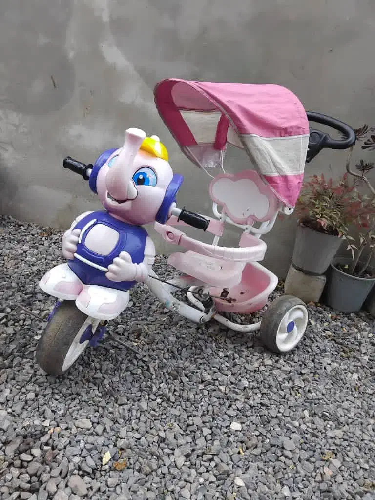 سه چرخه کاملا سالم|دوچرخه، اسکیت، اسکوتر|چمستان, |دیوار