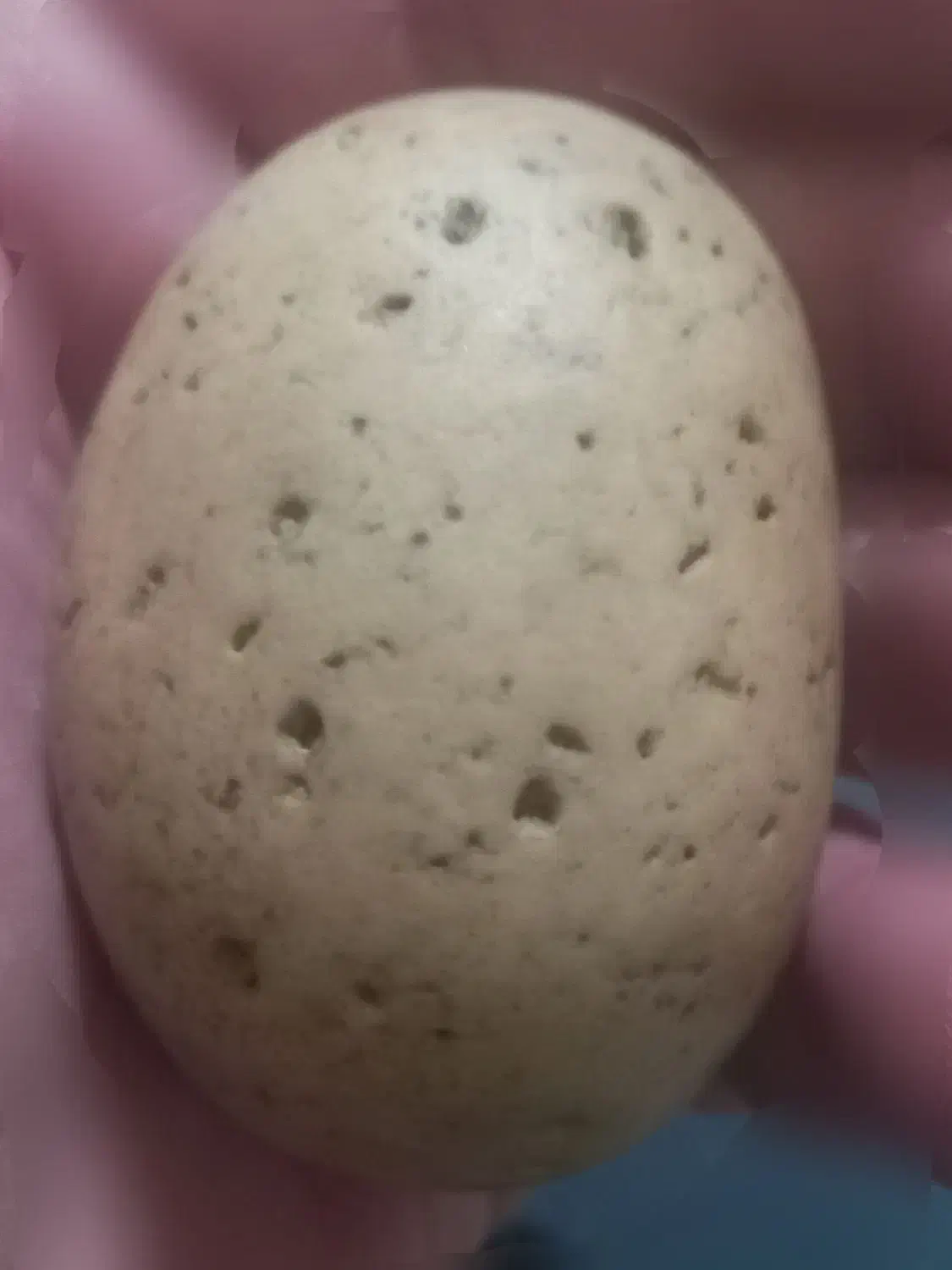 سنگ شهاب|کلکسیون و سرگرمی|اصفهان, بوستان ناژوان|دیوار