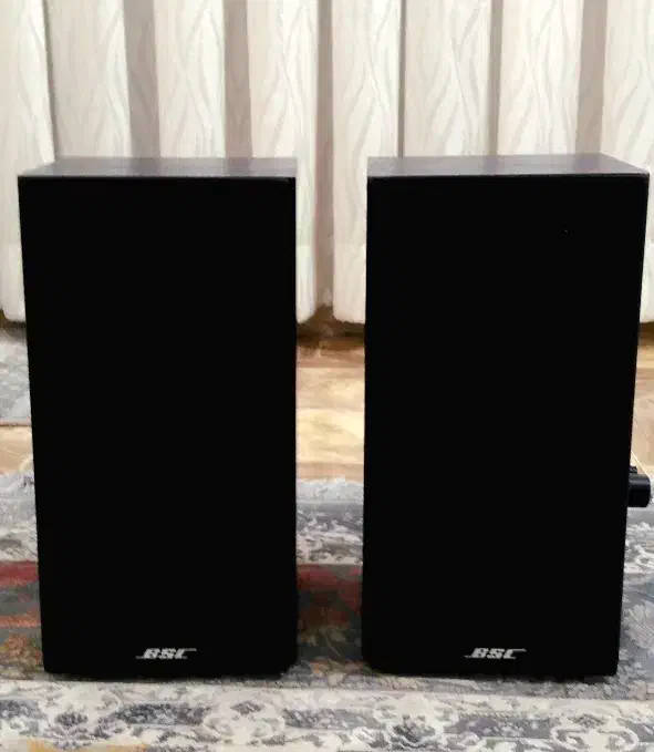 استند،+اسپیکر+ باند+اکتیو مدل BSC قدرتمنداروپایی|سیستم صوتی خانگی|ری, علایین|دیوار