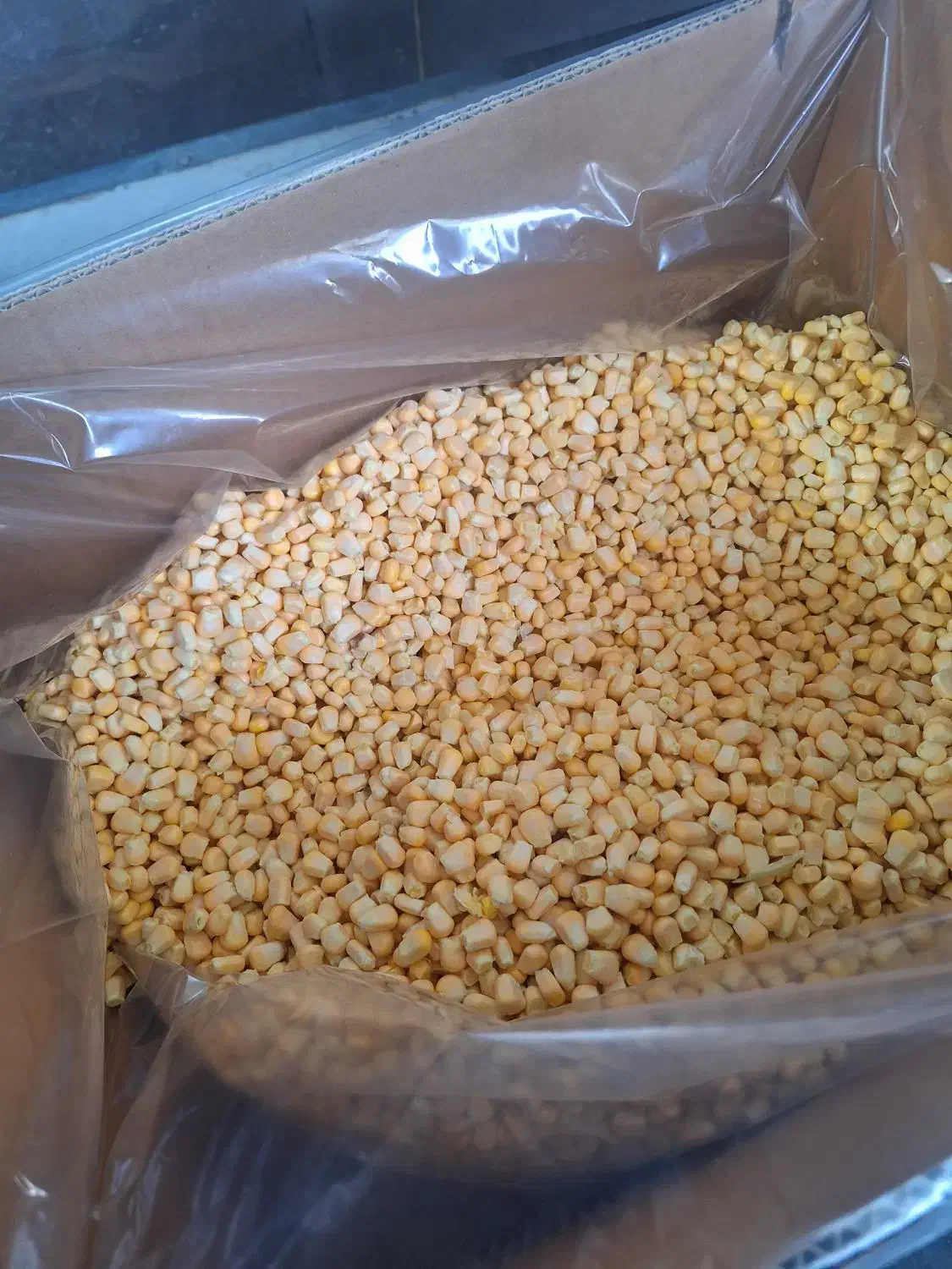 ذرت نیمه آماده عمده|خوردنی و آشامیدنی|تهران, سلسبیل شمالی|دیوار