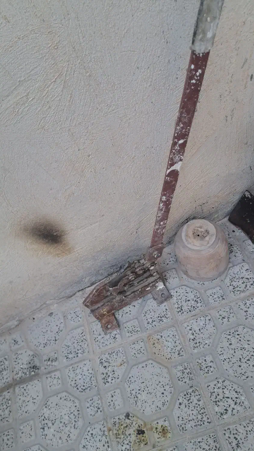 قیچی ورق بری|ابزارآلات|بیجار, |دیوار