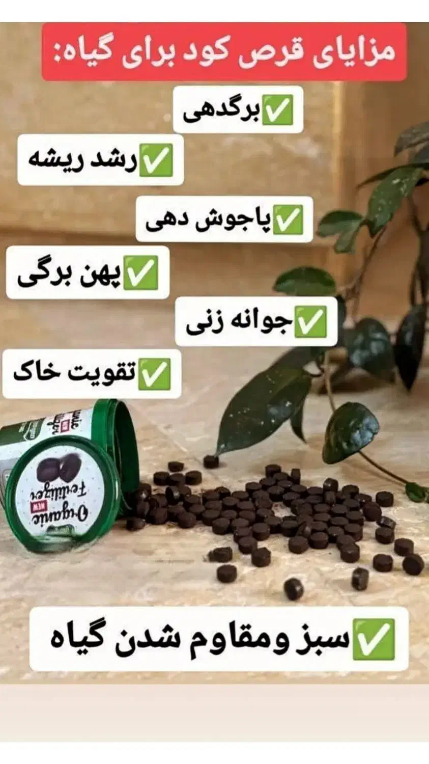 قرص کود ارگانیک برای رشد ده برابری گیاه|گل و گیاه طبیعی|الیگودرز, |دیوار