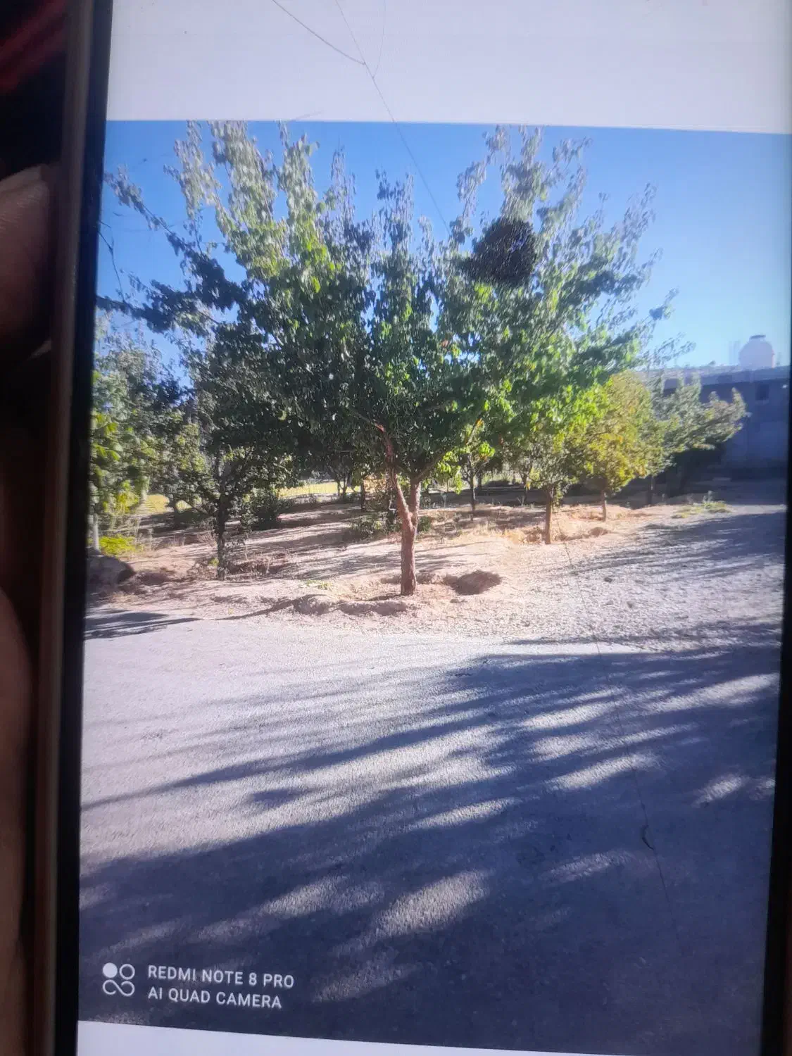 خانه  نوساز ویلایی در روستای دارشاهی|فروش خانه و ویلا|سیسخت, |دیوار