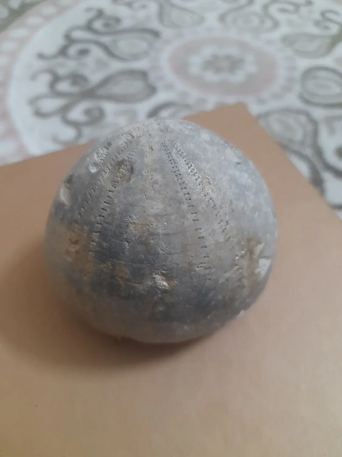 فسیل خارپشت|کلکسیون اشیاء عتیقه|مشهد, فریزی|دیوار