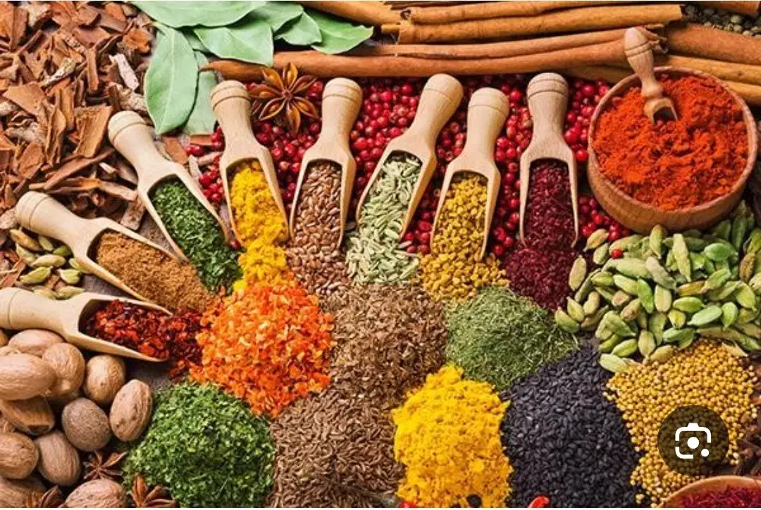 فروش عطاری طیبات و خشکبار تین در فرودگاه قدیم|فروشگاه و مغازه|ایلام, |دیوار