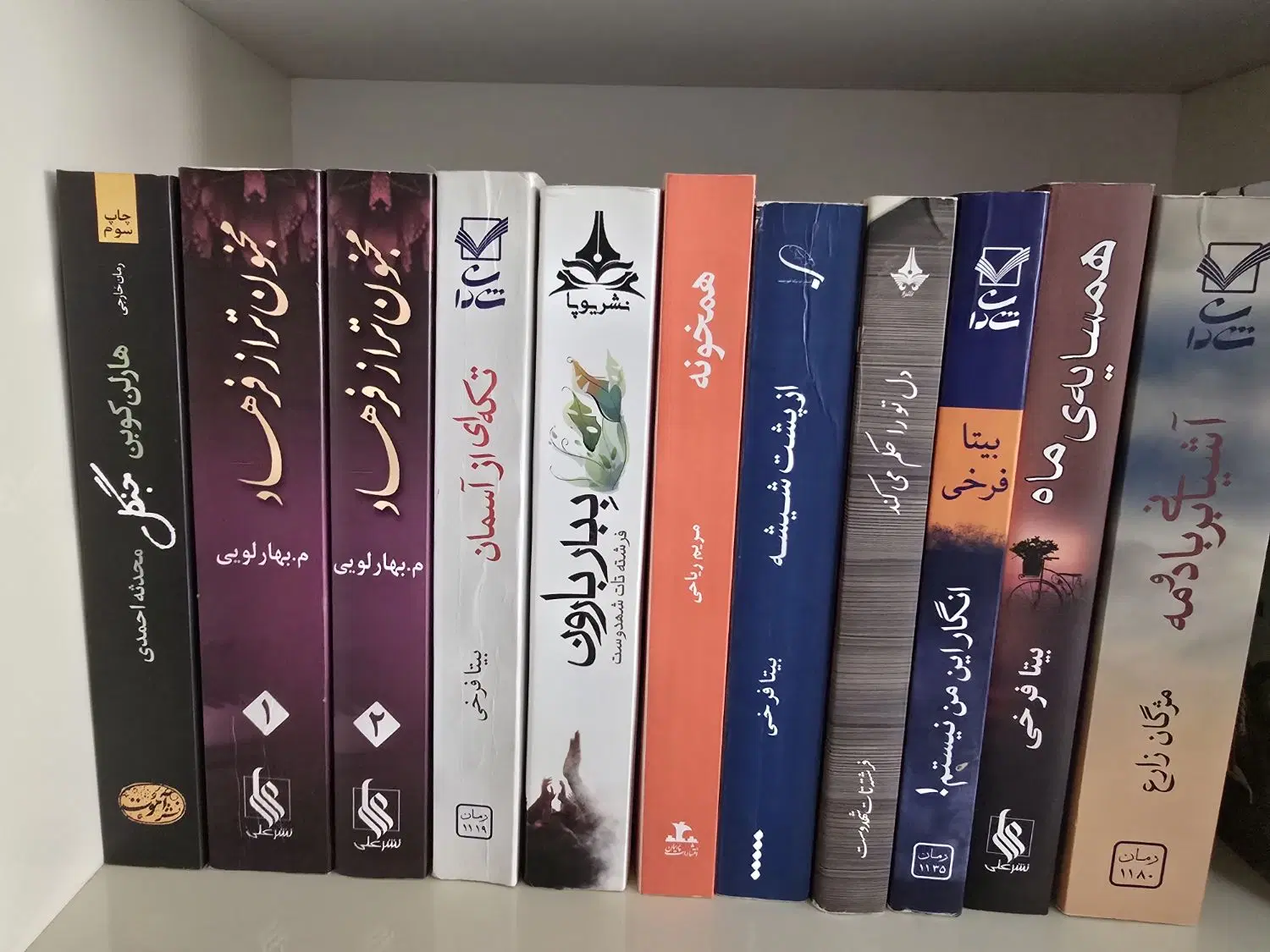 رمان|کتاب و مجله ادبی|مشهد, سید رضی|دیوار
