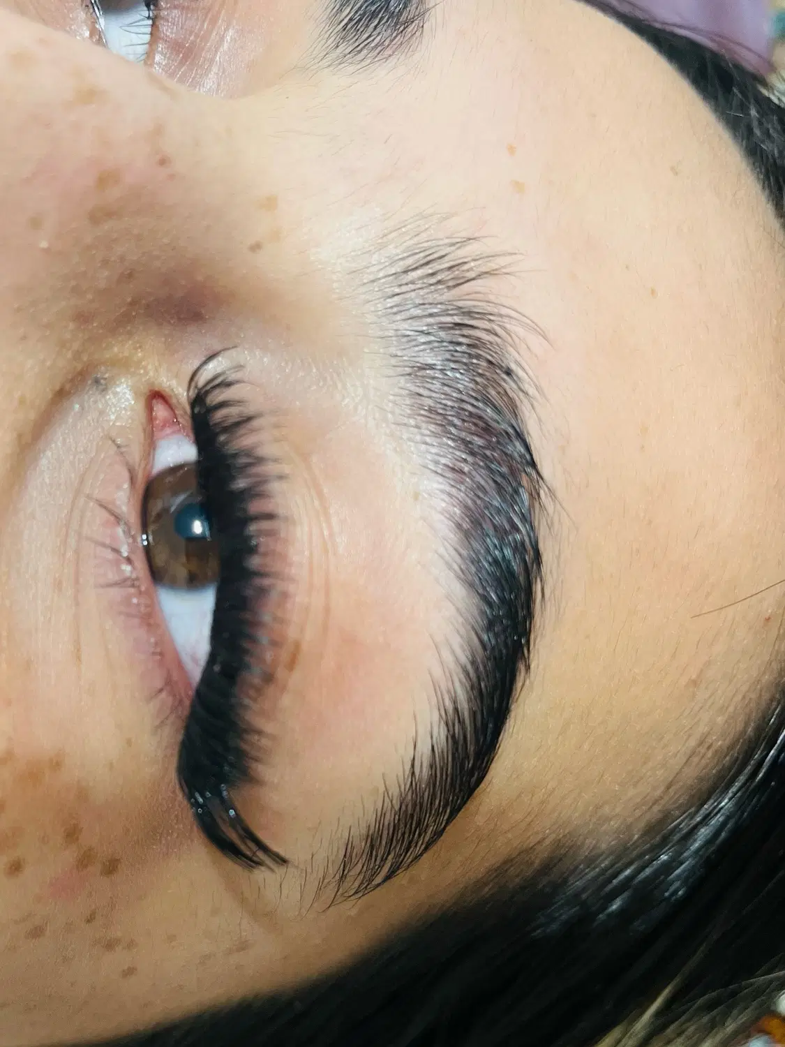 مژه موقت هیدن ۳۵۰|خدمات زیبایی و سلامت|تبریز, |دیوار