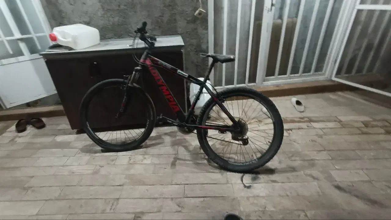 دو عدد دوچرخه بیست وبیست وچهار|دوچرخه، اسکیت، اسکوتر|قم, علی آباد سعدگان|دیوار