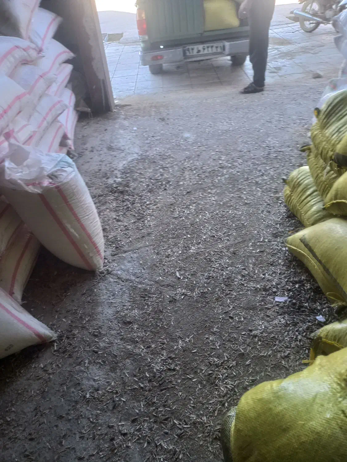 فروش کود تریپل و سفید|خدمات باغبانی و درختکاری|دینور, |دیوار