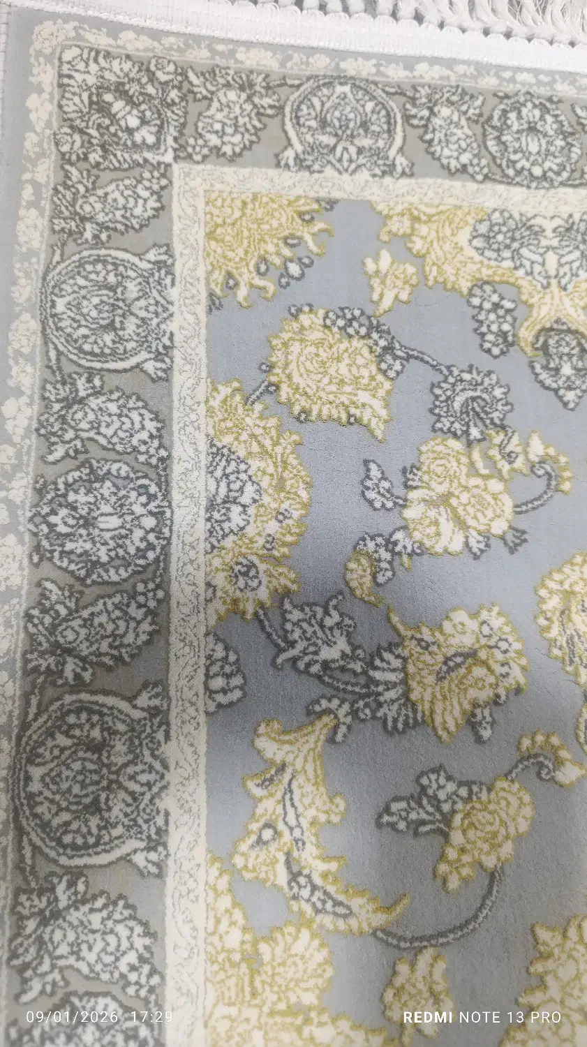 پادری رنگ طوسی|پادری|نجف‌آباد, یزدانشهر|دیوار