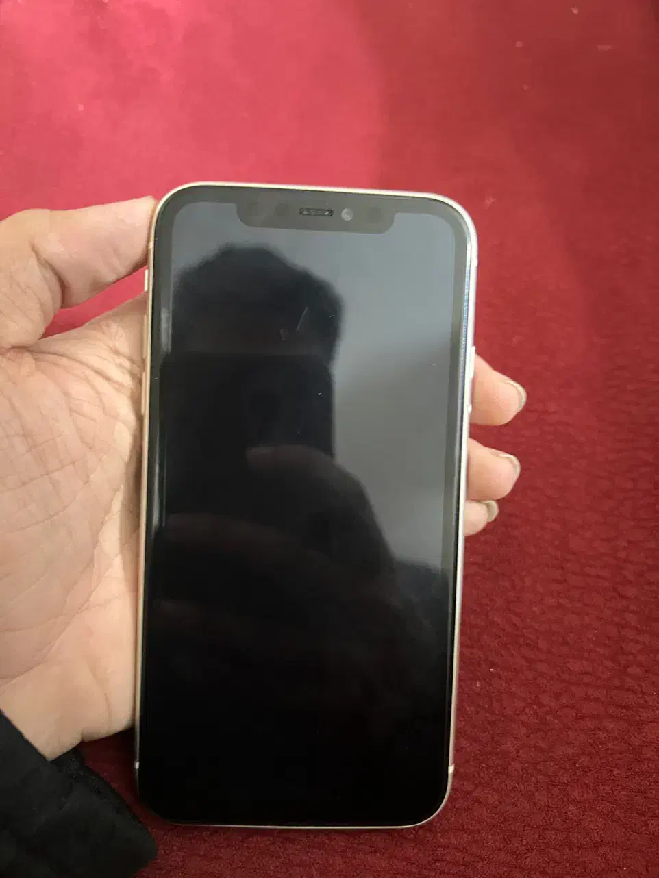 ایفون ۱۱|موبایل|سبزوار, گلشن|دیوار